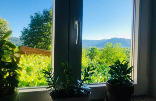 Apartments Smirnov - Foto 20