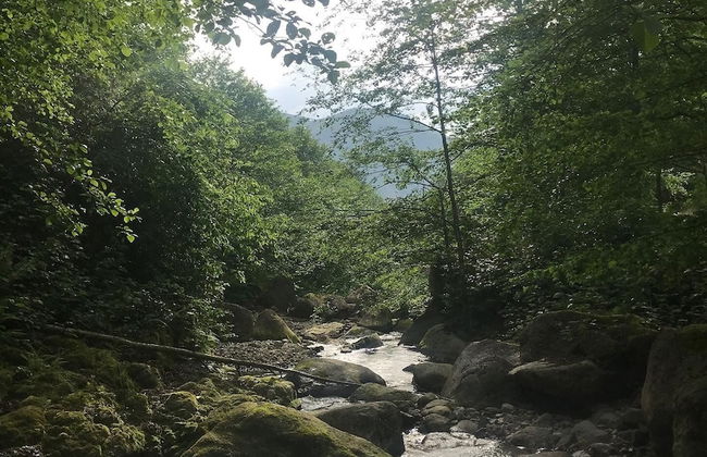 Baraka bungalov - Foto 41