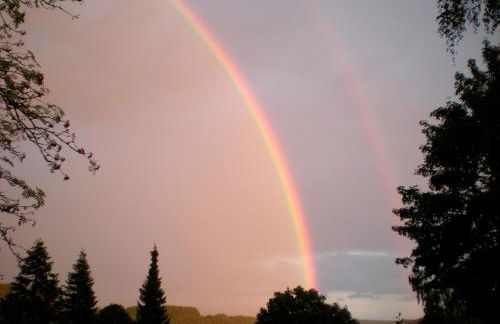 Eifelblick über dem See - Foto 20