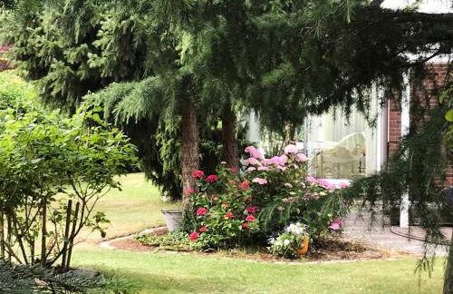 Finnhütte Freest - Foto 11