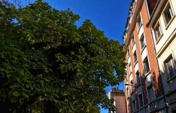 Canopée, paisible, chaleureux, lumineux, balcon - Foto 19