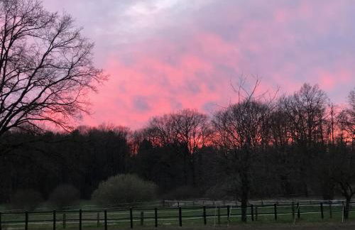 Carpe Deimern in der Lüneburger Heide - Foto 53