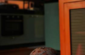 Cabana Sol do Norte - Foto 22