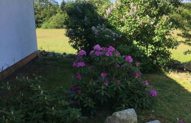 Ferienhaus zur Thusstrasse - Foto 9