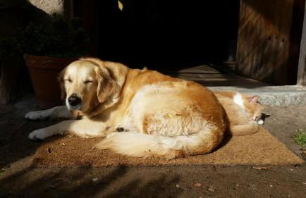 Mas Els Terrats - Foto 130