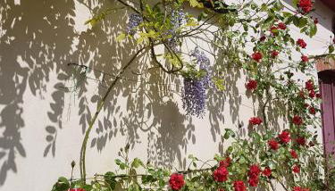 Seren Loft - Cynghordy, Llandovery - Foto 4