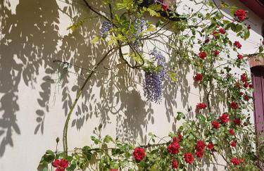 Seren Loft - Cynghordy, Llandovery - Foto 4