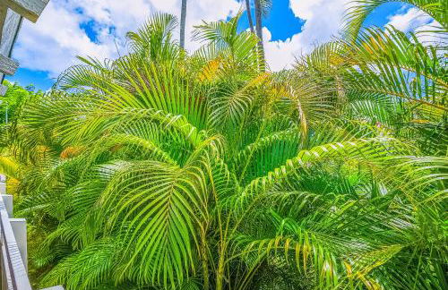 Plantation Hale A10 - Foto 4