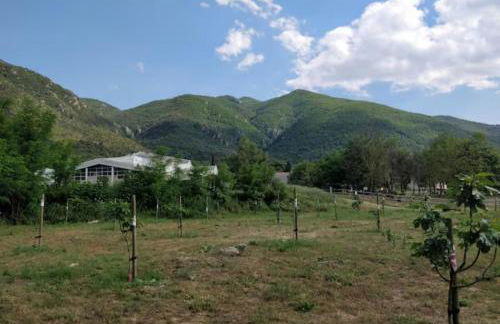 Joli appartement avec jardin à 5 min des Thermes - Foto 6