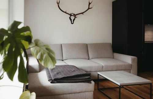 Schwarzwald Loft Menzenschwand - Foto 19