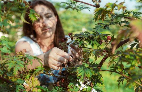 Relais Incanto - Agriturismo Nel Giardino di Fien - Foto 13