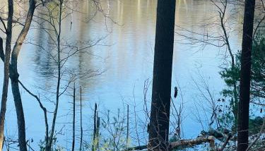 Golden Hill Oasis - Foto 5