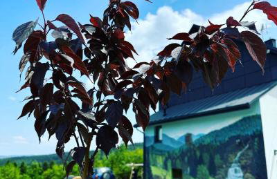 Beskidzki Zakątek Krynica-Zdrój - Photo 9