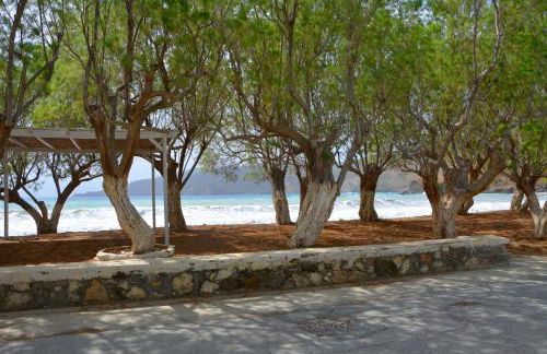 Maganas Hotel - Foto 41