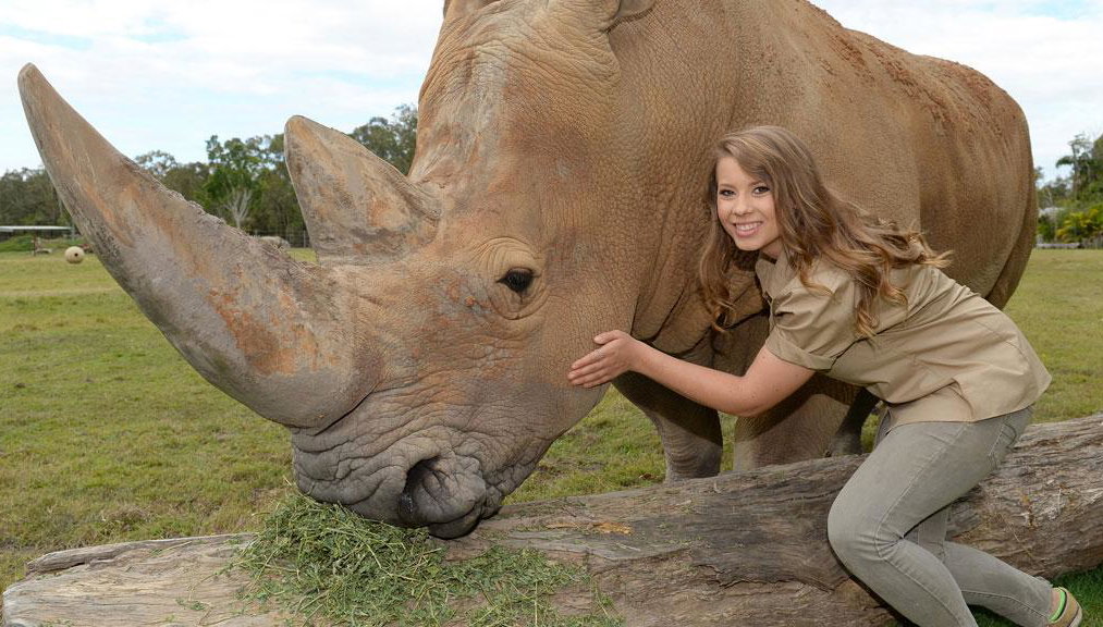 Croc Express vers le zoo d'Australie - Photo 1