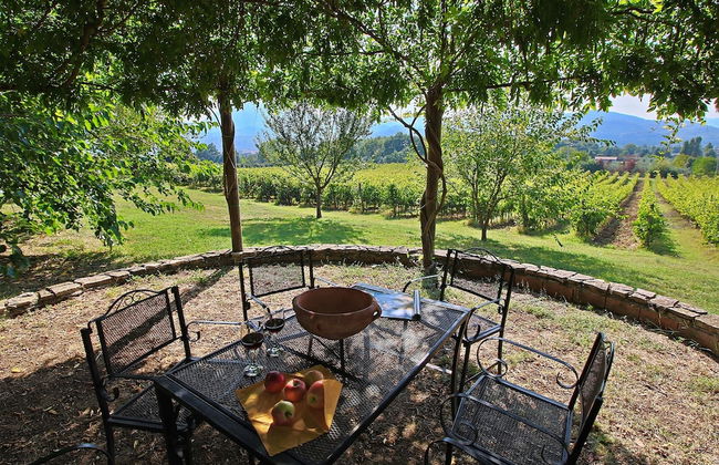 Attractive Apartment in old Farmhouse on the Estate With Pool - Foto 41