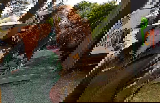 Trading Places - Photo 18