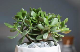 Modern apartement in the city center. - Foto 26