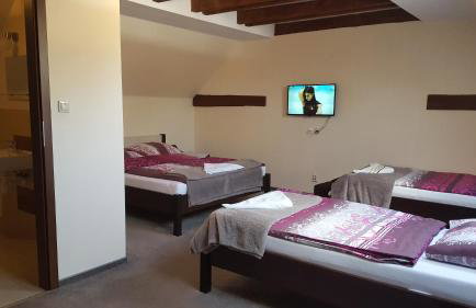 Agroturystyka Struzka - Foto 7