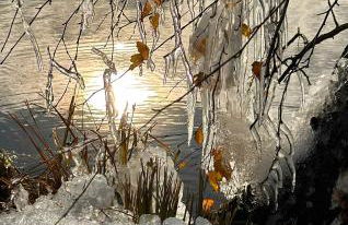 Ferienwohnung-Königsschlösser - Foto 52