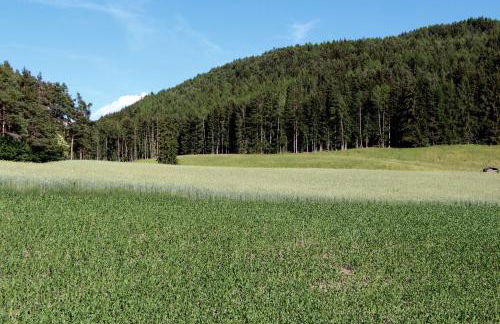 Spisserhof - Photo 29