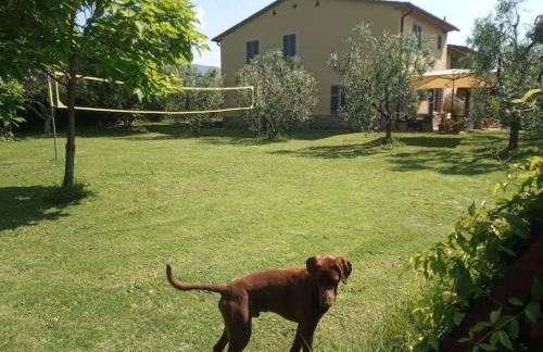 Appartamento Oliver - Foto 10