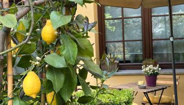 La Limonaia Firenze - Photo 3