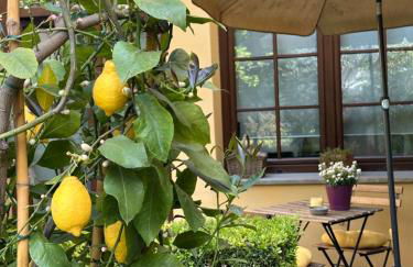 La Limonaia Firenze - Photo 3