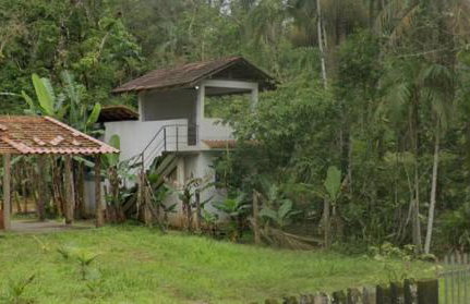 Chácara na Mata Atlântica - Photo 3