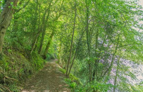 South Wing Cottage - Foto 24