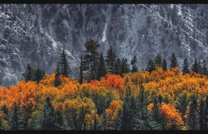 Château Bouli - 4 Season Escape and Games Room - Foto 53