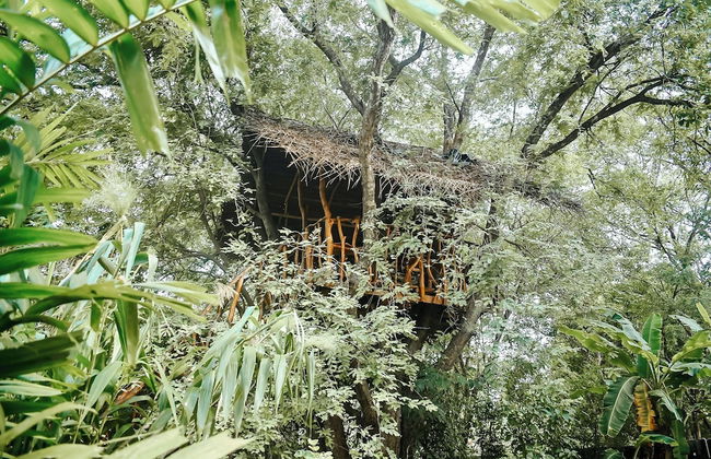 Woodland Sanctuary - Photo 22