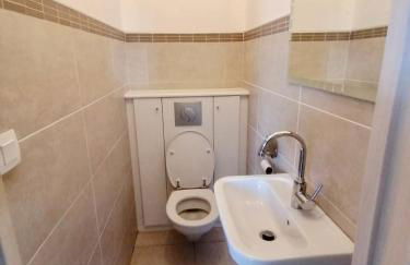 Gîte Bouconne Pibrac - Foto 19