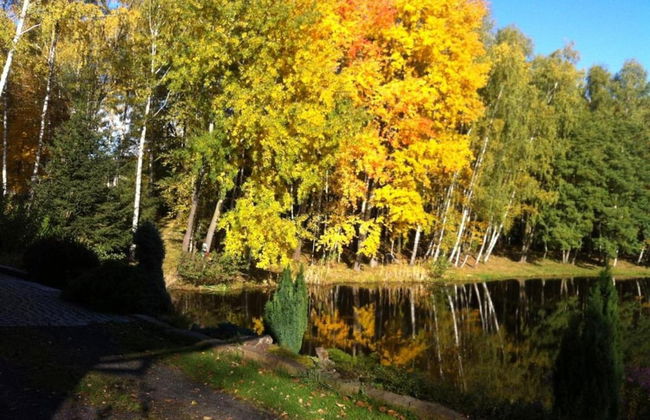 Forest Escape With Garden - Foto 39