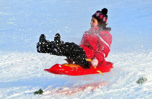 BayerischerWald-Ferien-Blockhaus-Panoramablick-Grafenau Haus im Wald-Vogelthenne 19, fast Alleinlage-ILZtal-Blick nähe Rothauer, Saldenburger, Ebenreuther und Eginger See im Dreiburgenland, unweit der Dreiflüße-Stadt PASSAU an der Donau Inn und ILZ - Foto 45