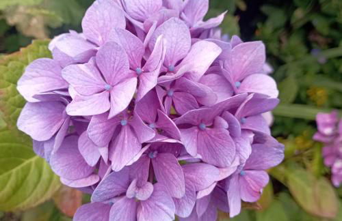 Cottage cosy en pierres à 25 mn de la côte de Granit rose - Foto 19