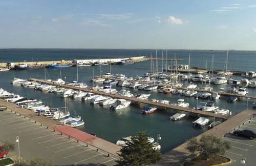 El piset de Paula - Foto 23