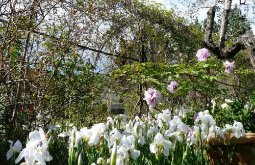 Il Casalone - Foto 43