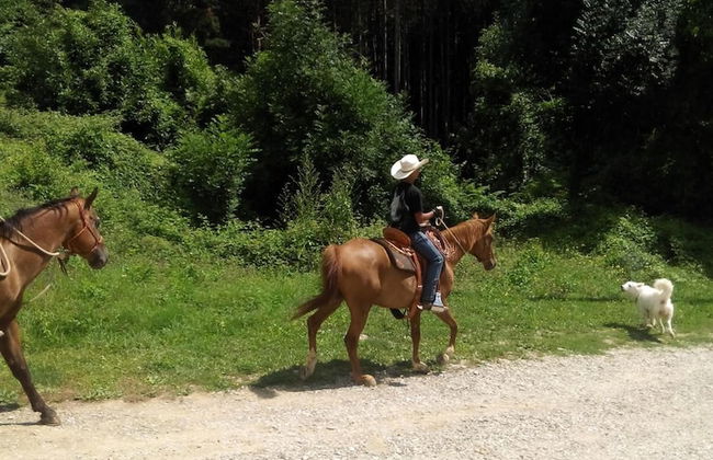 B&B da Ronald...a Pian del Papa - Foto 42