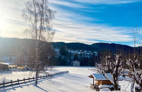 Appartamento a Costa di Folgaria - Foto 4