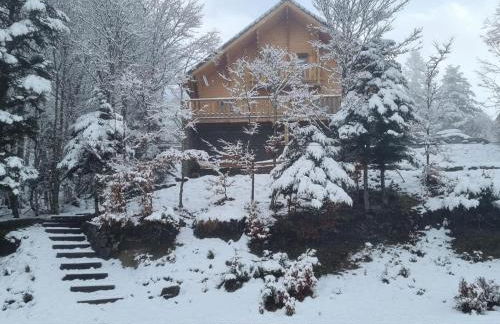 Le grand tetras - Foto 32