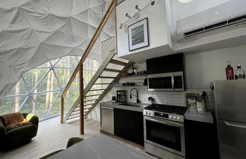 Luxury Private Dome with Spa and Fire Pit in Benzonia, Michigan - Foto 7