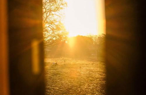 Homnest - Clairiere des Animaux - 1h de Toulouse - Photo 20