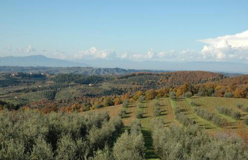 Agriturismo Le Case di San Vivaldo - Foto 158