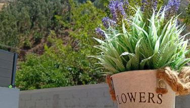 Danny's Rural Suite T1 - Foto 4