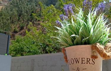 Danny's Rural Suite T1 - Foto 4