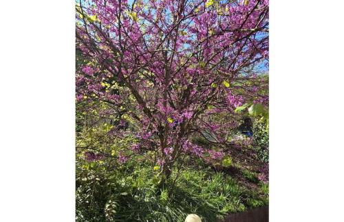 Holiday home Korn am Bärensteig - Foto 10