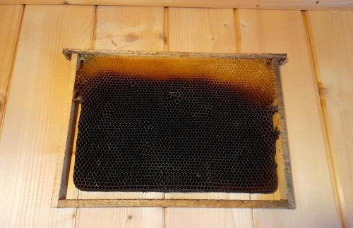 Pod Bieszczadem - Foto 18