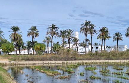 Can Carles - Delta del Ebro - Foto 71