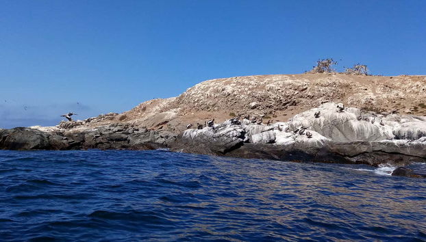 Cachagua's coastline